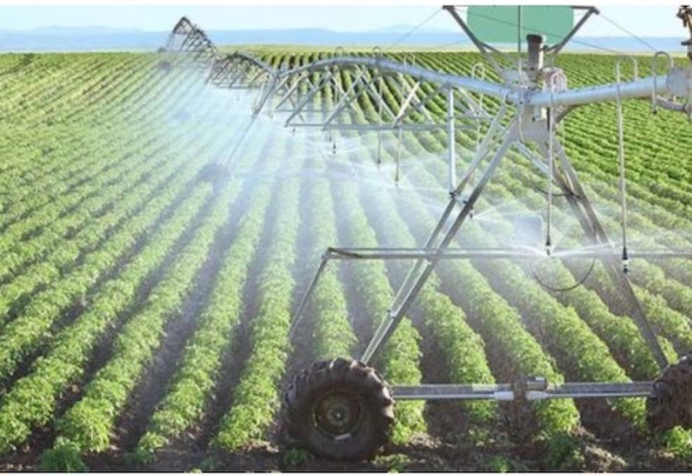 Understanding farmland rental rates The Grower